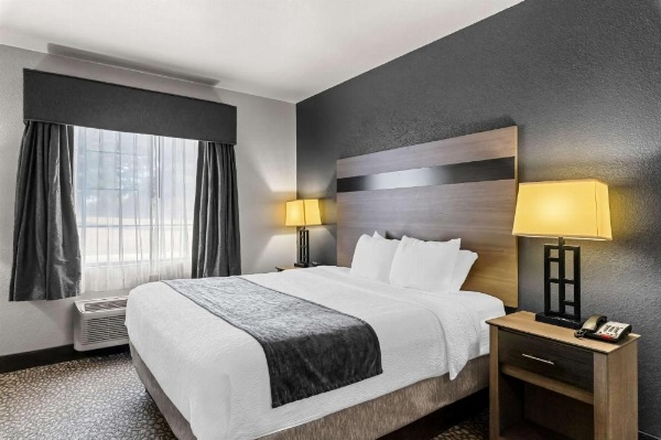 Best Western Sherwood Inn & Suites image 19