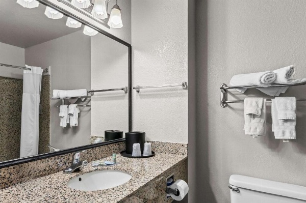 Best Western Sherwood Inn & Suites image 25